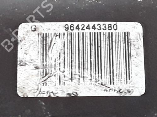 Left front brake caliper PEUGEOT 206 Van 1.4 HDi | BP30310343M105