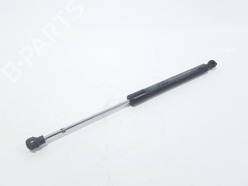 Hood lift support RENAULT CLIO IV (BH_) 1.5 dCi 75 | BP25767100C139 