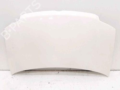 Used Hood FIAT PANDA (169_) 1.2 LPG (169CXF1A) (69 hp) 25167451