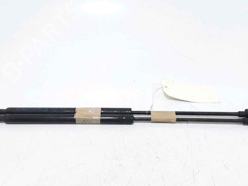 Used Tailgate lift support FIAT PANDA (169_) 1.1 (169.AXA1A) (54 hp) 25168893