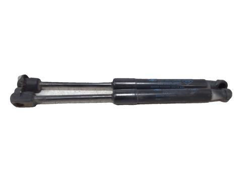 hood-lift-support-renault-scenic-iii-jz01_-2008-2009-2010-2011-2012-2013-2014-2015-2016-33187406 main image