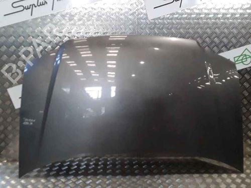 Used Hood VW TOURAN (1T1, 1T2) 1.9 TDI (105 hp) 25167377
