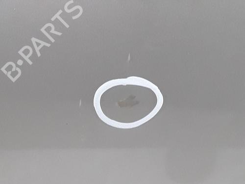 Right front door RENAULT SCÉNIC III (JZ0/1_) 1.9 dCi (JZ0J, JZ1J, JZ1K, JZ1S) | BP29576904C3 