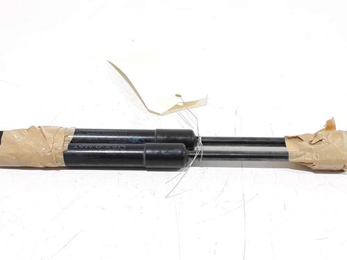 Used Hood lift support RENAULT SCÉNIC III (JZ0/1_) 1.5 dCi (110 hp) 25167819