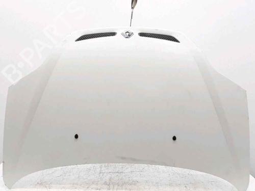 Used Hood RENAULT SCÉNIC I MPV (JA0/1_, FA0_) 1.9 dCi (JA05, JA1F) (102 hp) 25167566