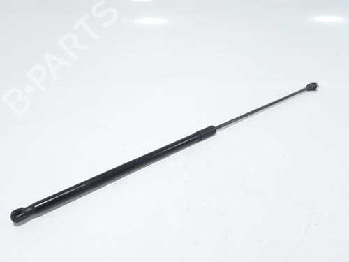 Hood lift support VW GOLF VII (5G1, BQ1, BE1, BE2) 1.4 TSI | BP25167833C139 