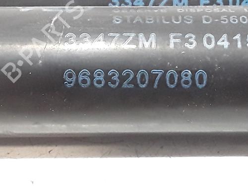 Tailgate lift support PEUGEOT 3008 I MPV (0U_) 1.6 HDi | BP25167958C138 