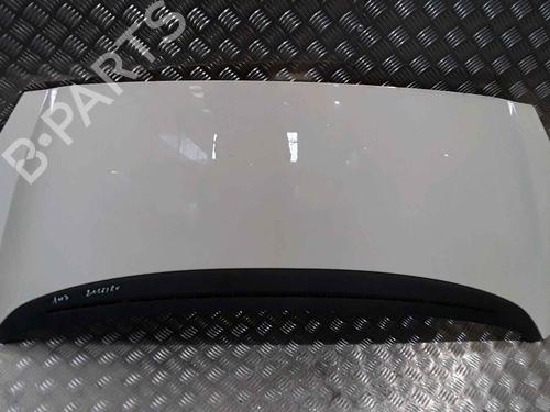 Used Hood PEUGEOT 1007 (KM_) 1.4 (75 hp) 25765069