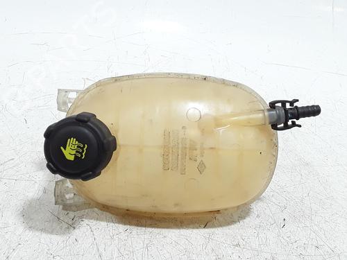 vaso-de-expansao-renault-clio-v-b7_-2019-32199550 main image