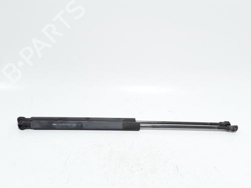 Used Tailgate lift support Tailgate lift support PEUGEOT 207 (WA_, WC_) 1.4 (73 hp) 36004775 36004775