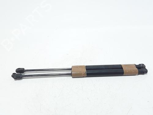 Tailgate lift support VW GOLF VI (5K1) 1.6 TDI | BP25167967C138 