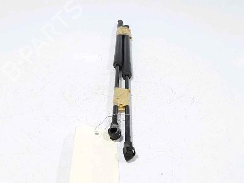 Tailgate lift support BMW 1 (F20) 118 d | BP25168654C138