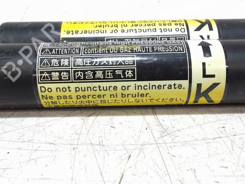 Tailgate lift support TOYOTA URBAN CRUISER (_P1_) 1.4 D-4D (NLP110_, NLP110R) | BP30046625C138 