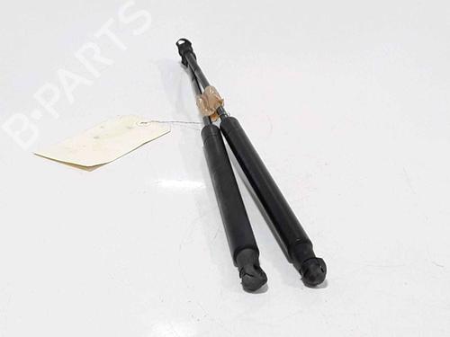 Tailgate lift support FORD KA (RU8) 1.3 TDCi | BP25168498C138
