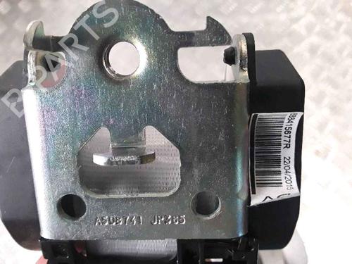 Rear left belt tensioner RENAULT SCÉNIC III (JZ0/1_) 1.2 TCe (JZ16) | BP25162226C89 