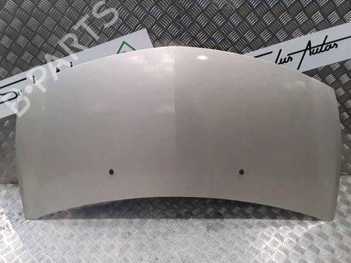 Used Hood RENAULT CLIO III (BR0/1, CR0/1) 1.5 dCi (BR17, CR17) (86 hp) 25167760