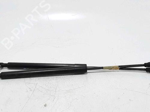 Tailgate lift support RENAULT CLIO IV (BH_) 1.5 dCi 75 | BP25168828C138 