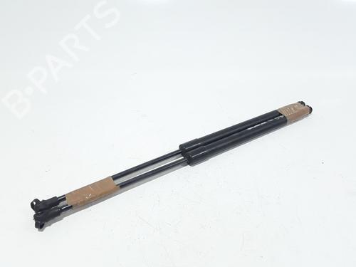 Tailgate lift support PEUGEOT 208 I (CA_, CC_) 1.4 HDi | BP25168898C138