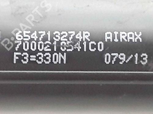 Hood lift support DACIA SANDERO II 1.5 dCi | BP25167491C139