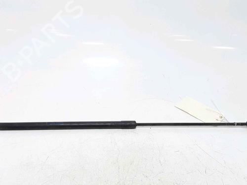 Used Hood lift support RENAULT MEGANE III Grandtour (KZ0/1) 1.5 dCi (KZ0C, KZ1A) (90 hp) 25167629