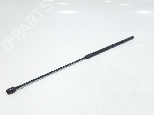 Hood lift support AUDI A4 B8 Avant (8K5) 2.0 TDI | BP25167836C139 