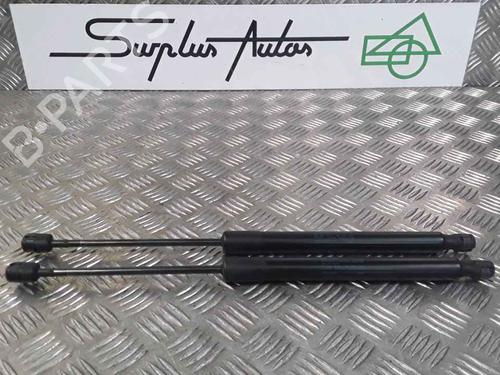 Tailgate lift support VW GOLF VI (5K1) 1.6 TDI | BP25168716C138 