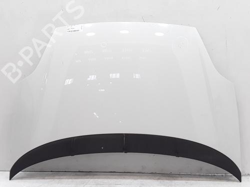 Used Hood FIAT PUNTO (199_) 1.2 (199AXZ1A, 199BXZ1A) (69 hp) 29576900