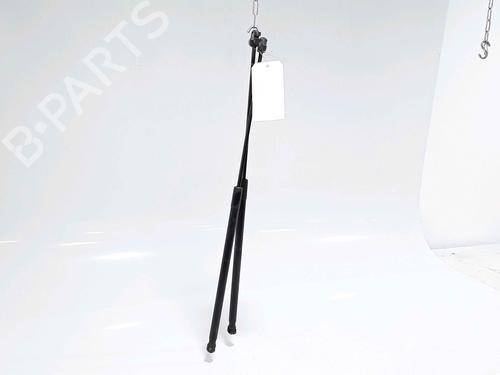 Tailgate lift support RENAULT MEGANE III Coupe (DZ0/1_) 1.5 dCi (DZ0C, DZ1A) | BP25168211C138 
