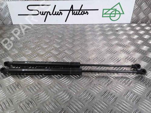 Used Tailgate lift support RENAULT CLIO IV (BH_) 1.5 dCi 75 (75 hp) 25168713