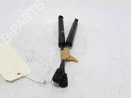 Hood lift support RENAULT SCÉNIC III (JZ0/1_) 1.5 dCi | BP25167802C139 