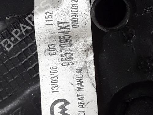 Right mirror PEUGEOT 307 (3A/C) 2.0 HDi 135 | BP30194765C27