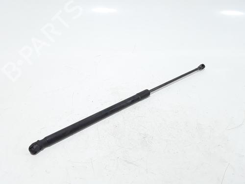 Hood lift support TOYOTA RAV 4 II (_A2_) 2.0 D 4WD (CLA20_, CLA21_, CLA20R, CLA21R) | BP25167838C139 