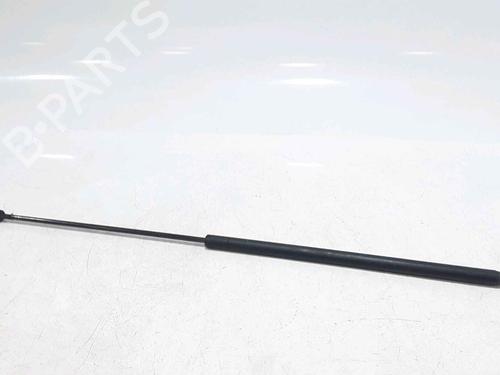 Pansergassdemper AUDI A4 B6 (8E2) 3.0 (220 hp) 25167623