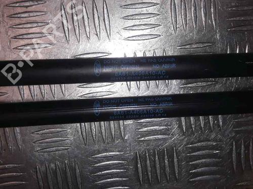 Tailgate lift support FORD FIESTA VI (CB1, CCN) 1.4 TDCi | BP25168743C138 