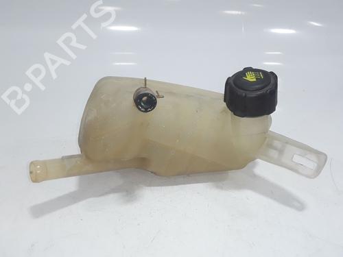 Used Expansion tank RENAULT MEGANE II (BM0/1_, CM0/1_) 1.9 dCi (131 hp) 26701084