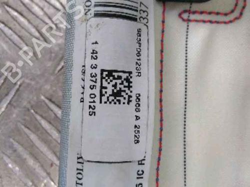 Other RENAULT SCÉNIC III (JZ0/1_) 1.5 dCi | BP25160811O1 