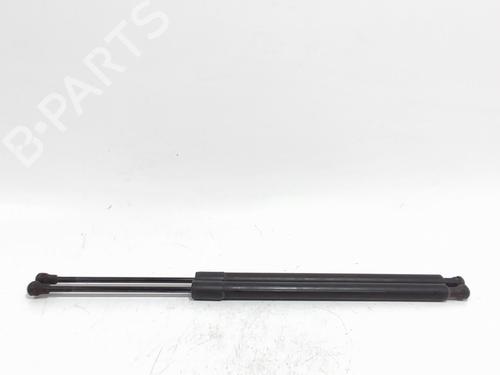 Used Tailgate lift support Tailgate lift support RENAULT MODUS / GRAND MODUS (F/JP0_) 1.2 (JP0C, JP0K, FP0C, FP0K, FP0P, JP0P, JP0T) (75 hp) 36460199 36460199