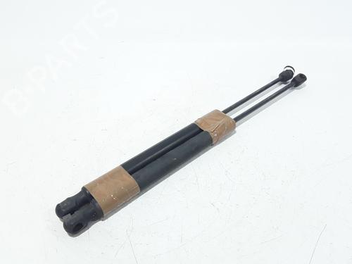 Tailgate lift support VW GOLF VI (5K1) 1.6 TDI | BP25167967C138 