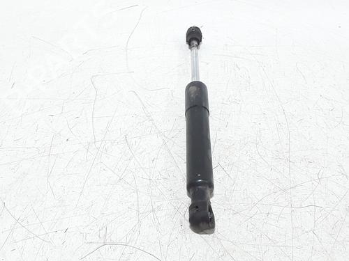 Tailgate lift support RENAULT ZOE (BFM_) ZOE | BP25168943C138