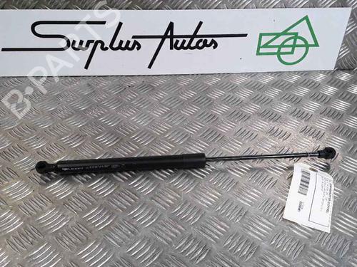 Used Tailgate lift support RENAULT ZOE (BFM_) ZOE (BFMD) (109 hp) 25168717