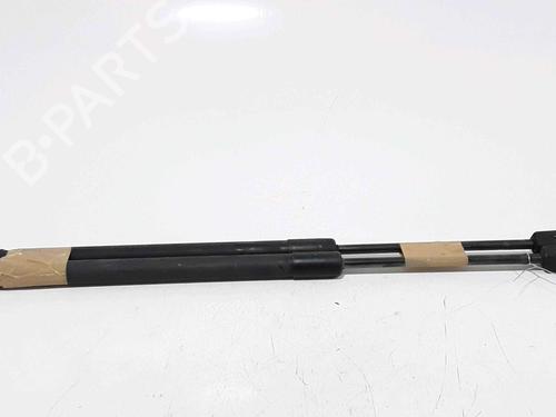 Used Tailgate lift support FIAT SEDICI (189_) 1.9 D Multijet 4x4 (120 hp) 25168283