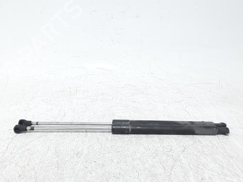 tailgate-lift-support-renault-clio-iii-br01-cr01-2005-2006-2007-2008-2009-2010-2011-2012-2013-2014-39151508 main image