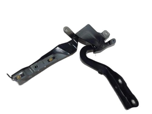 Hinge/Door check strap RENAULT CLIO IV (BH_) 1.5 dCi 90 | BP29045238C146 
