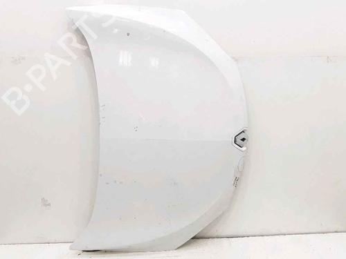 Hood RENAULT MEGANE III Coupe (DZ0/1_) 1.6 dCi (DZ00, DZ12, DZ2A, DZ13) | BP25167450C1 