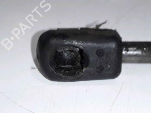 Hood lift support RENAULT MEGANE III Hatchback (BZ0/1_, B3_) 1.5 dCi (BZ09, BZ0D, BZ1W, BZ29, BZ14) | BP25167828C139 