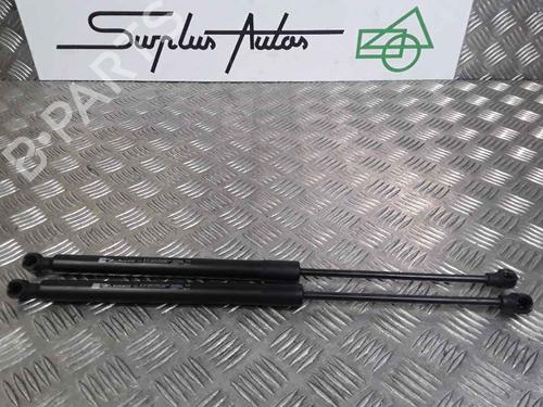 Used Tailgate lift support RENAULT CLIO IV (BH_) 1.2 16V (73 hp) 25168569