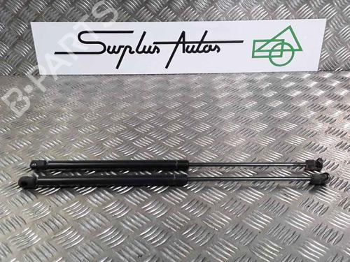 Used Tailgate lift support FIAT PANDA (169_) 1.2 4x4 (169.AXB2A) (60 hp) 25168138