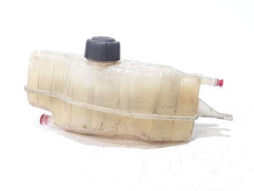 Used Expansion tank RENAULT CLIO III (BR0/1, CR0/1) 1.5 dCi (BR17, CR17) (86 hp) 27267148