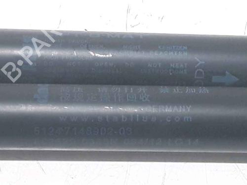 Tailgate lift support MINI MINI (R56) One D | BP25168408C138 