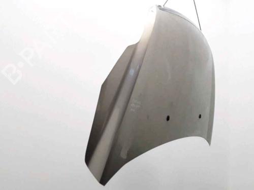 Hood FORD FOCUS II Convertible 2.0 TDCi | BP25167872C1 